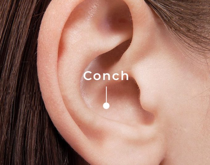 Contraconch