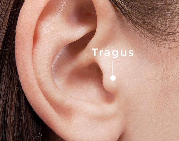 Tragus