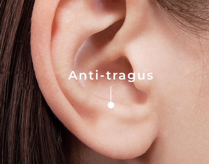 Anti-tragus