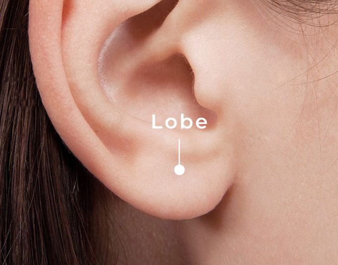 Lobe les deux