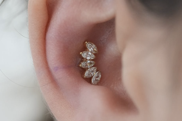 Capture d’écran 2026-03-27 à 08.11.53