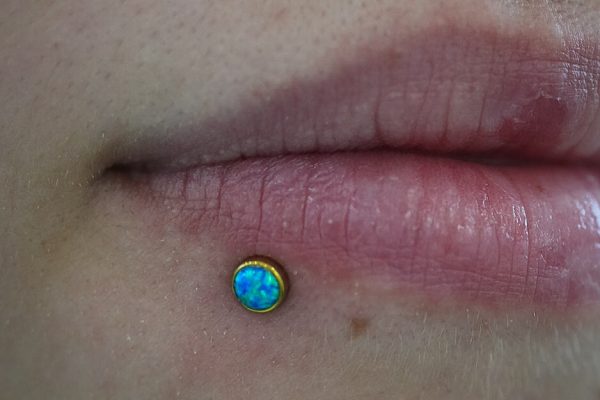 DSC01050